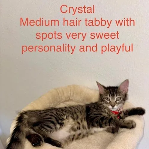Crystal