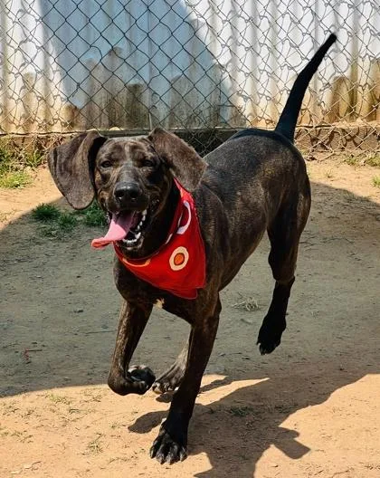 Timothy $ thumbnail 2