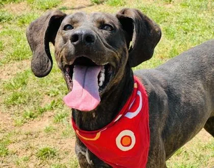 Timothy $ thumbnail 3