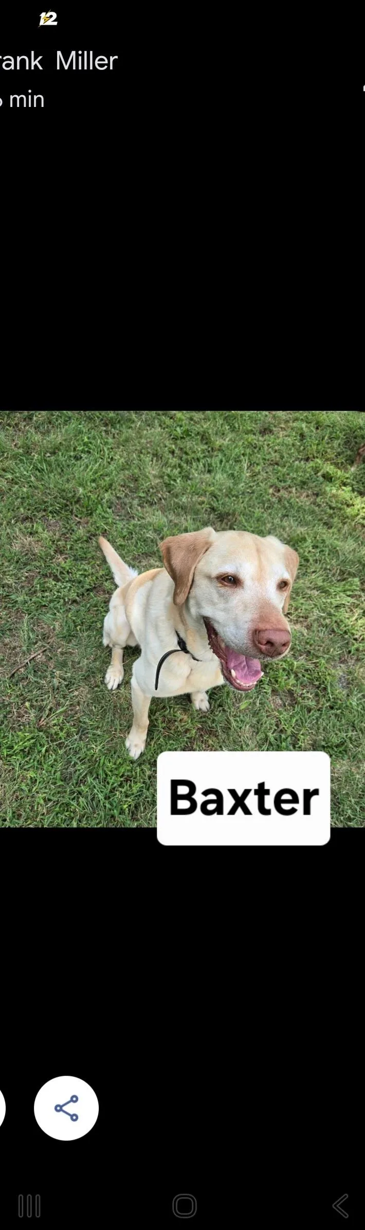 Baxter thumbnail 2