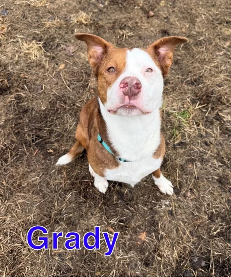Grady thumbnail 2