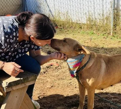 Turkey $ thumbnail 3