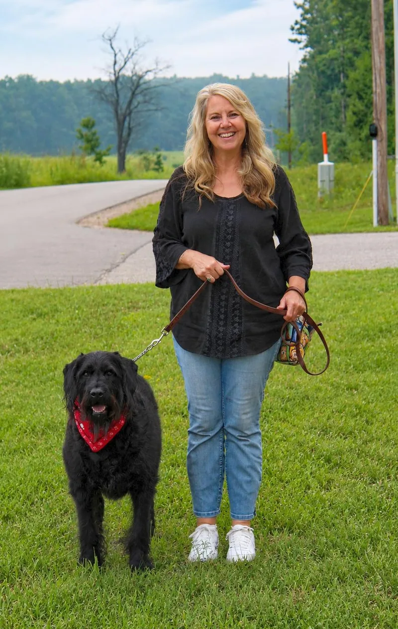 An adult large-sized male Black Labradoodle dog named Winston for adoption in Cheboygan, MI