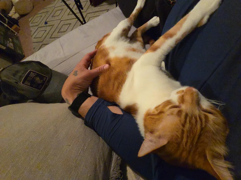 Buddy And Dodi thumbnail 2