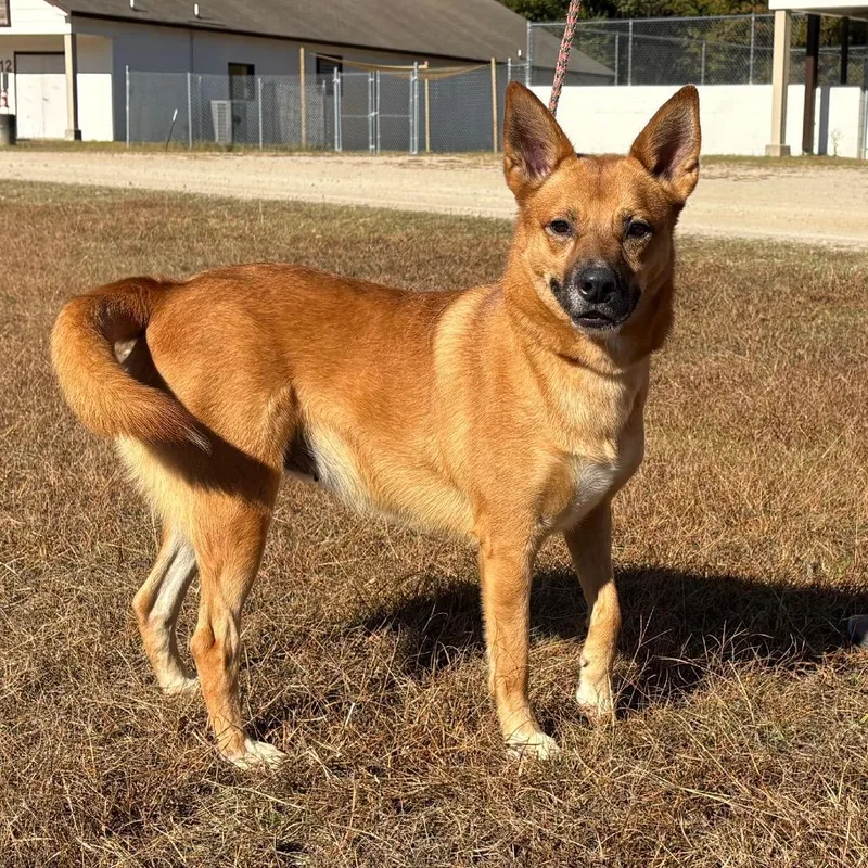 Josephine thumbnail 2