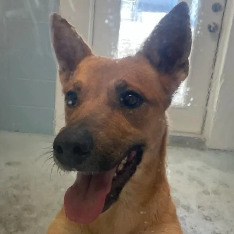 Josephine thumbnail 4