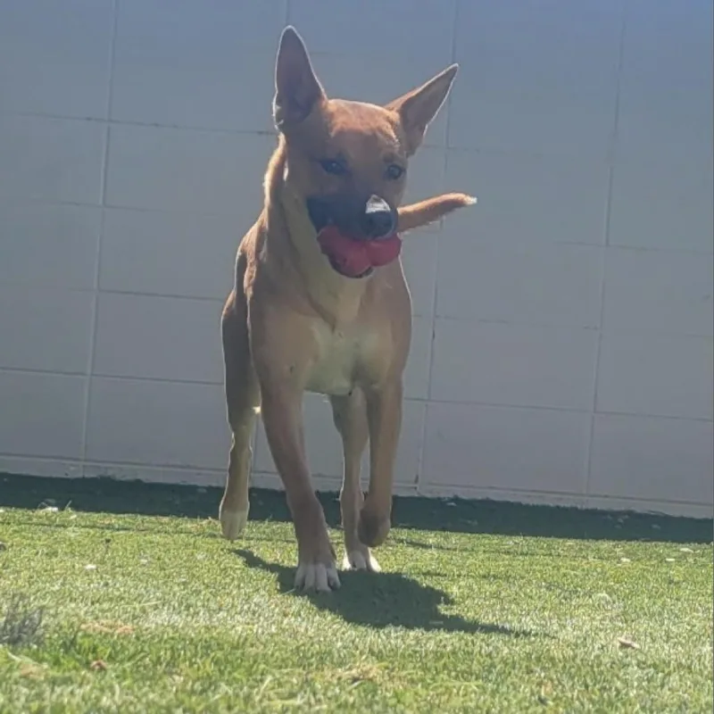 Josephine thumbnail 5