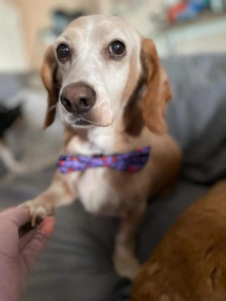 Sunny Sides thumbnail 3