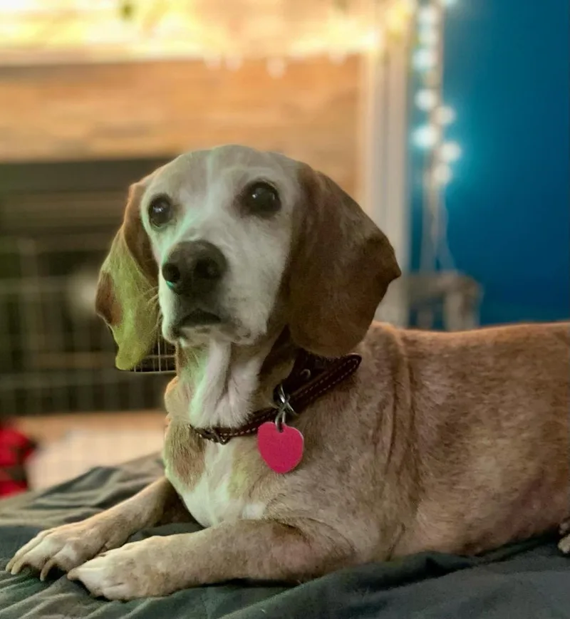 Sunny Sides thumbnail 5