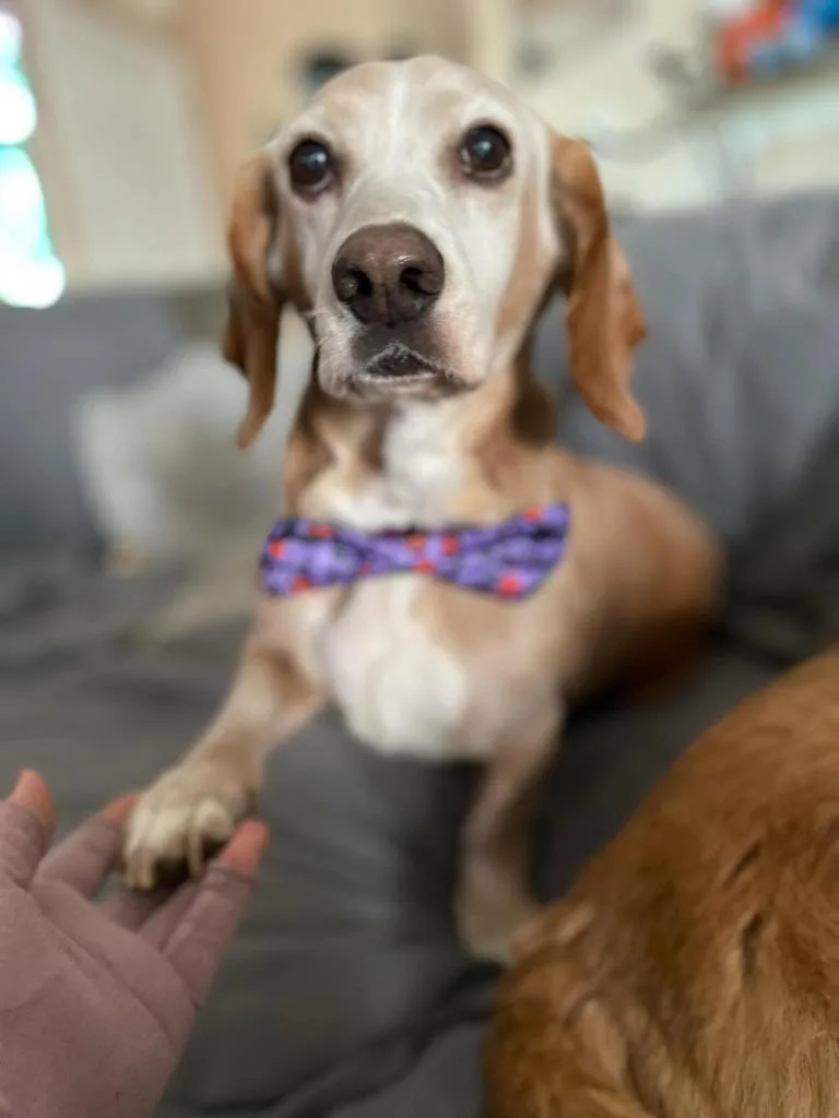 Sunny Sides thumbnail 6