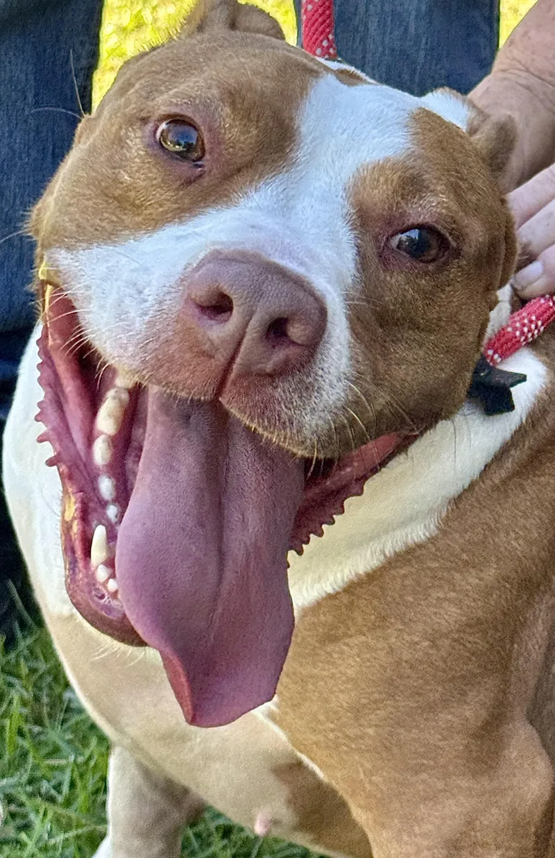 Simone!!!  Powerhouse Of