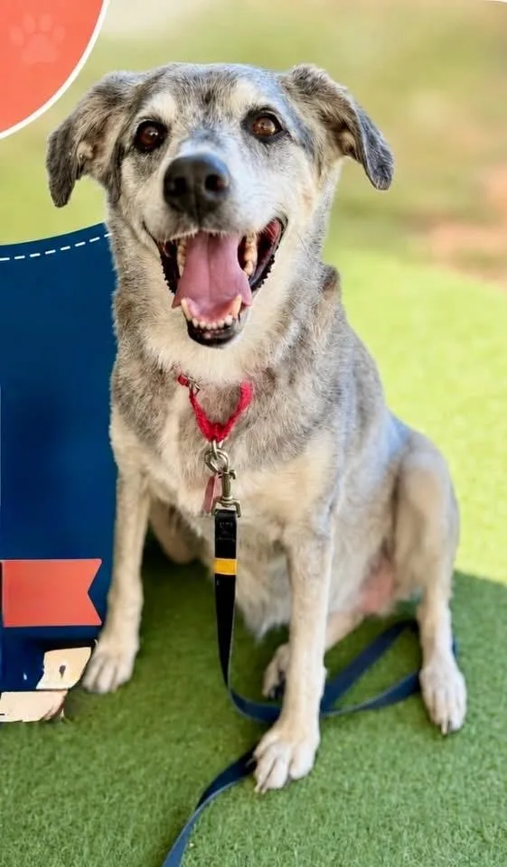Rosie
