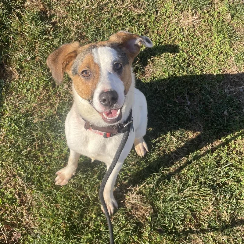 Ella