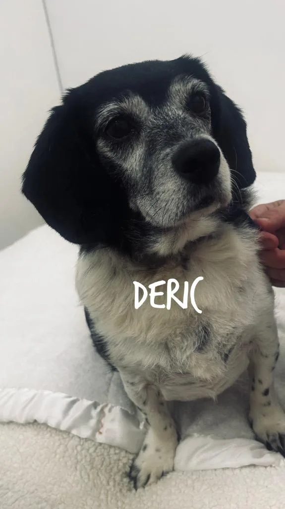 Deric