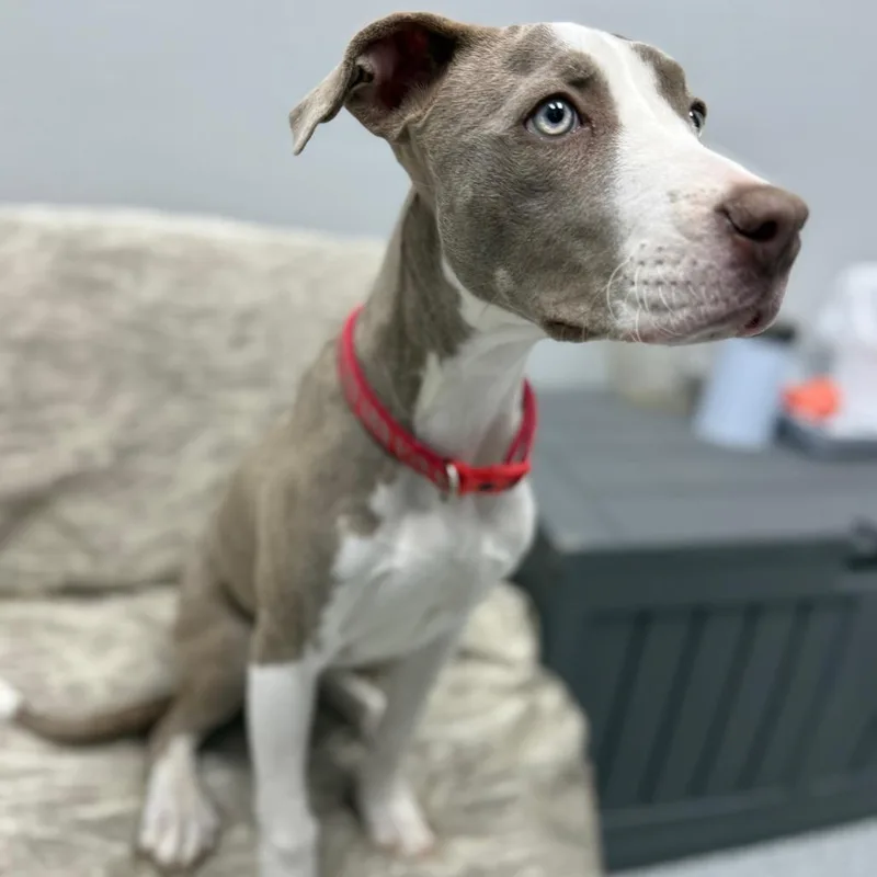 Madeline thumbnail 2