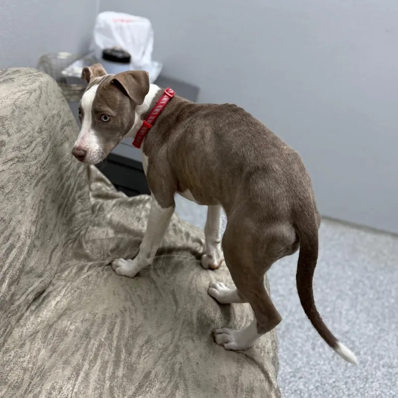 Madeline thumbnail 6