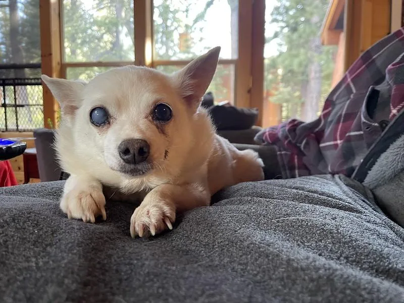 Chloe thumbnail 2