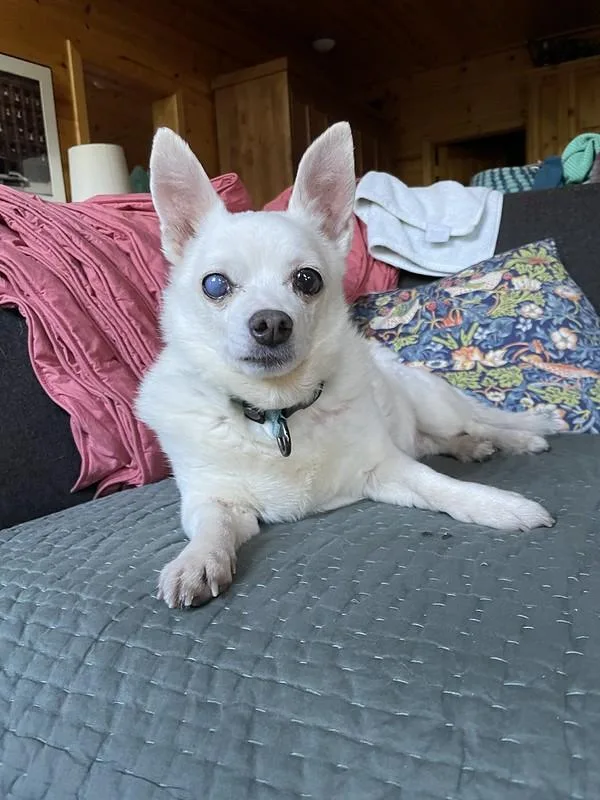 Chloe thumbnail 4