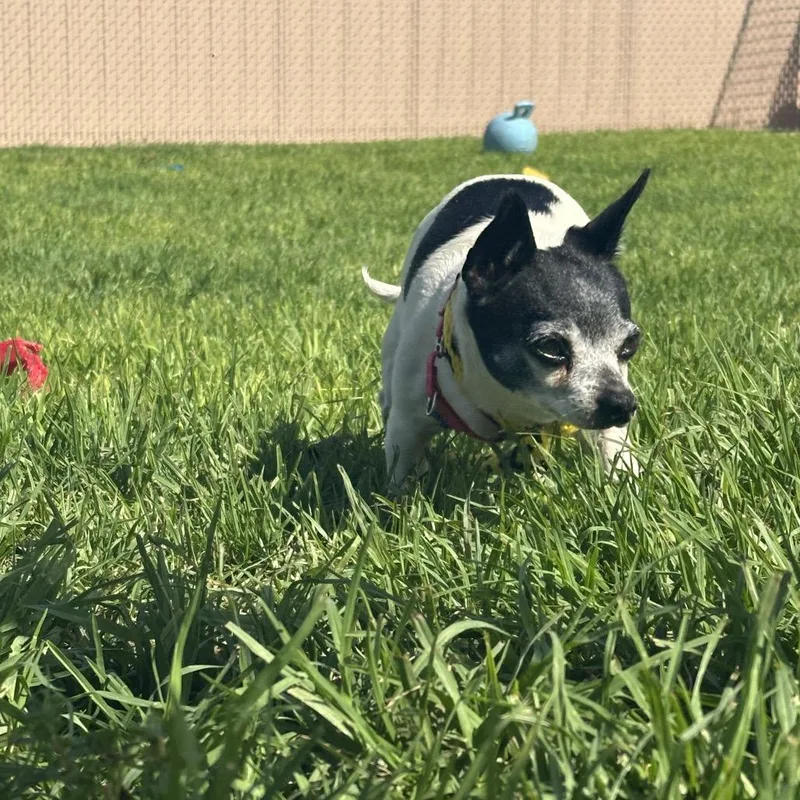 Lexie thumbnail 3