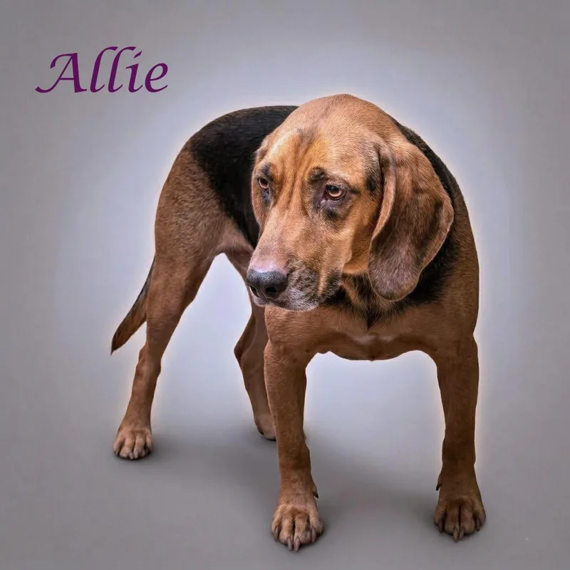 Allie D thumbnail 2