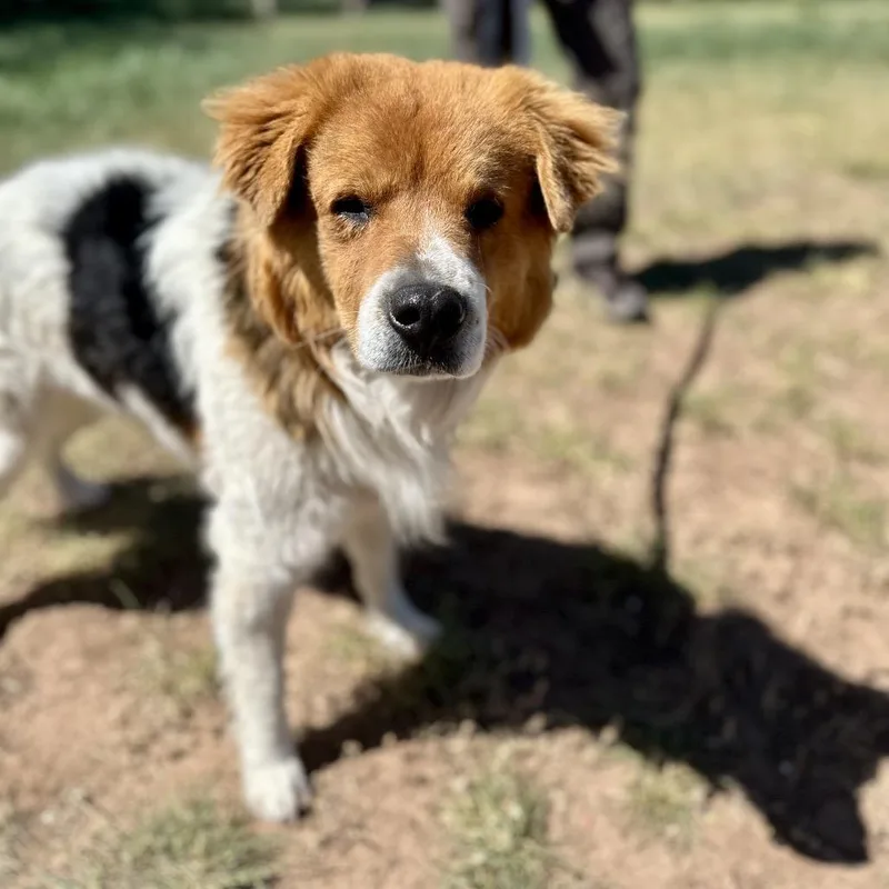 Rusty