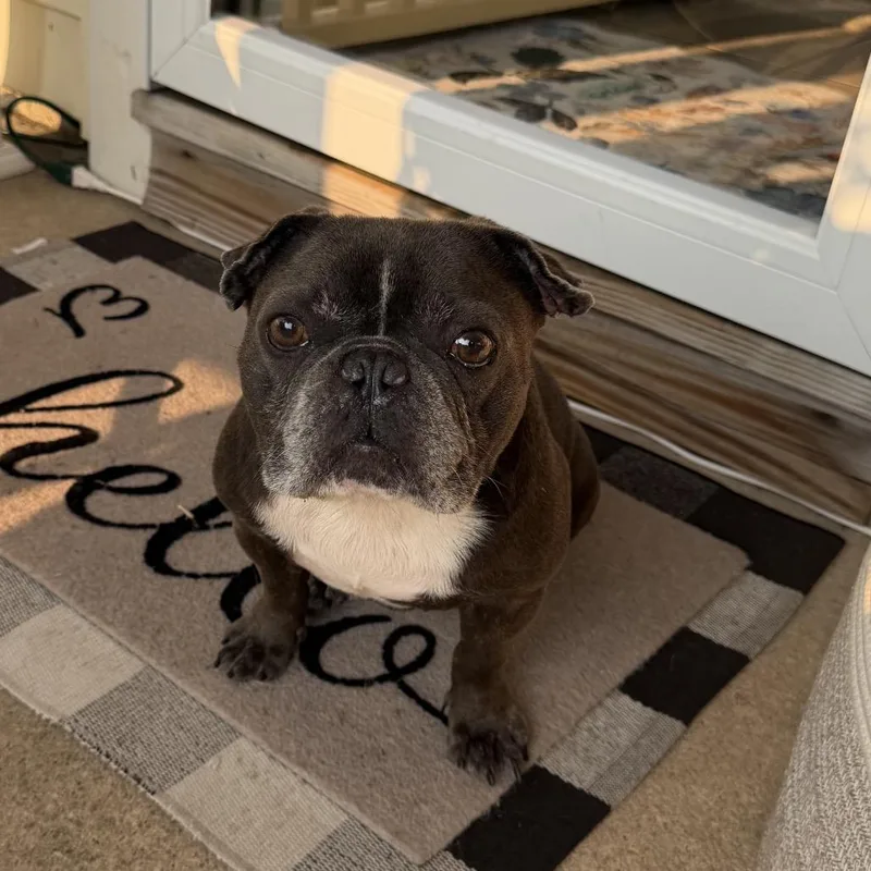 Winston