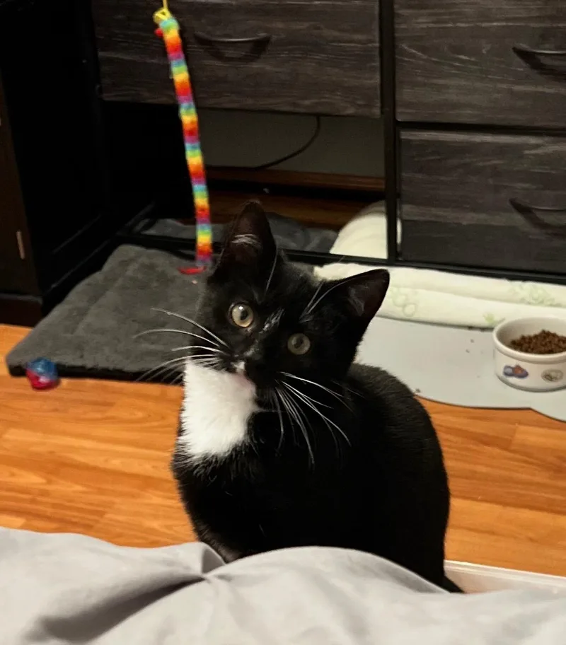 Boots And Cinnamon thumbnail 2