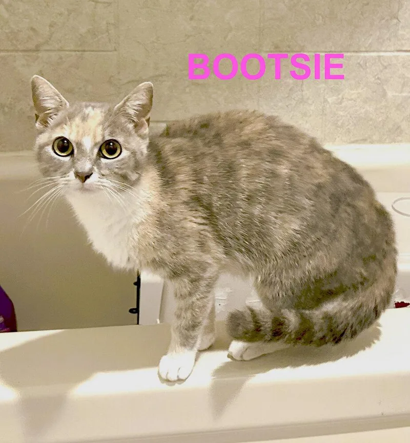 Bootsie thumbnail 2