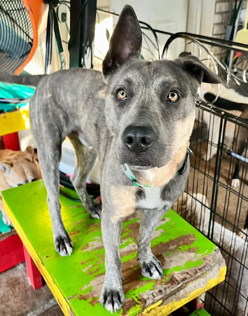 Rocky Warehouse thumbnail 2