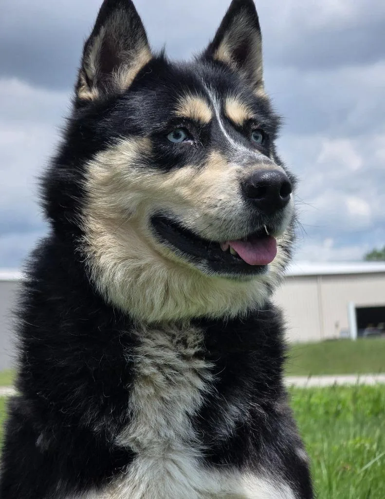 Mia
