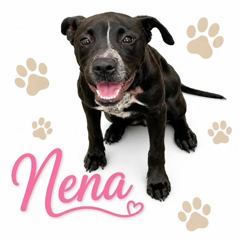 Nena thumbnail 2