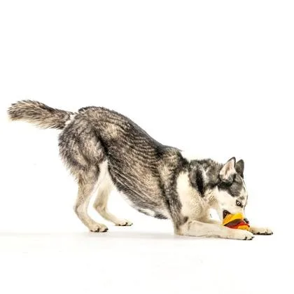 Serenity thumbnail 2