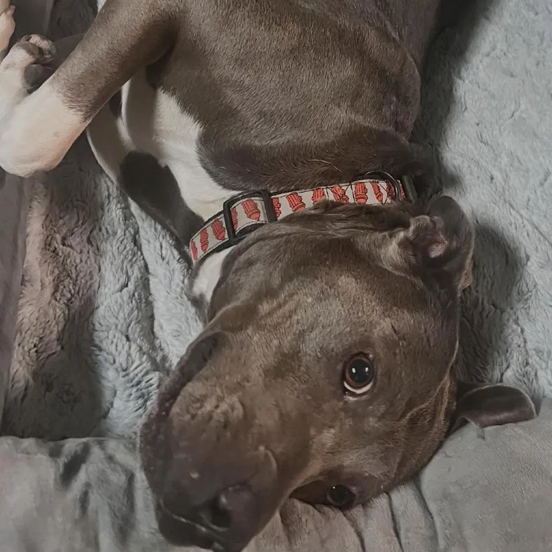 Precious thumbnail 3