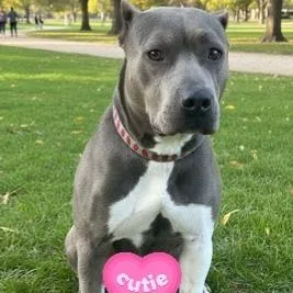 Precious thumbnail 4