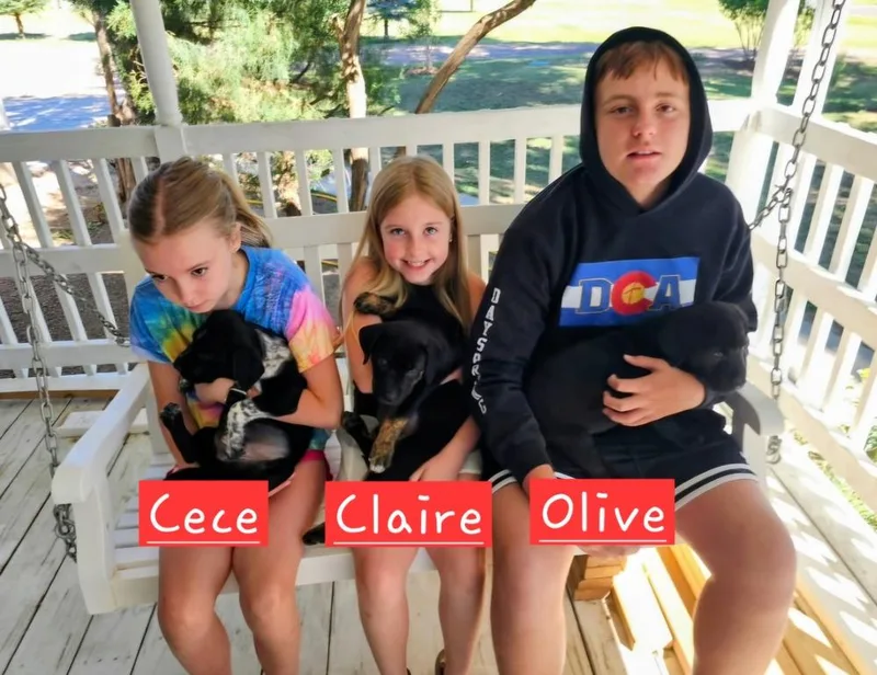 Cece thumbnail 3