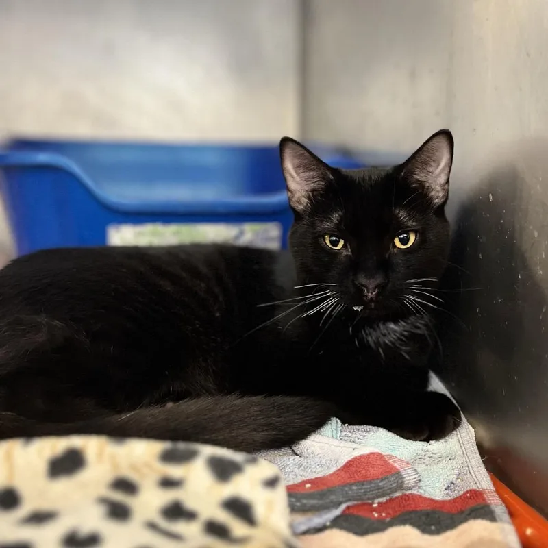 Scott&scout thumbnail 3