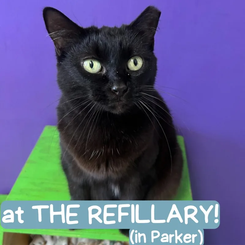 Leela Arkansas thumbnail 4