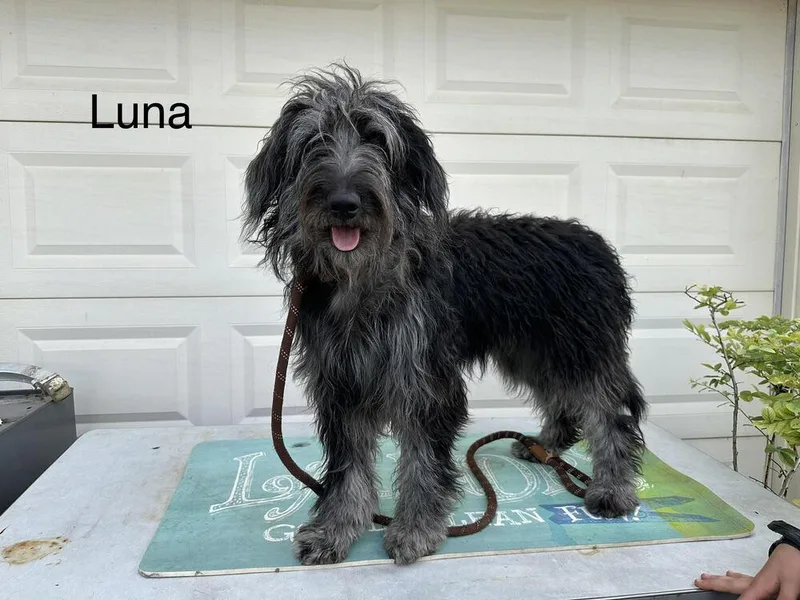 Luna