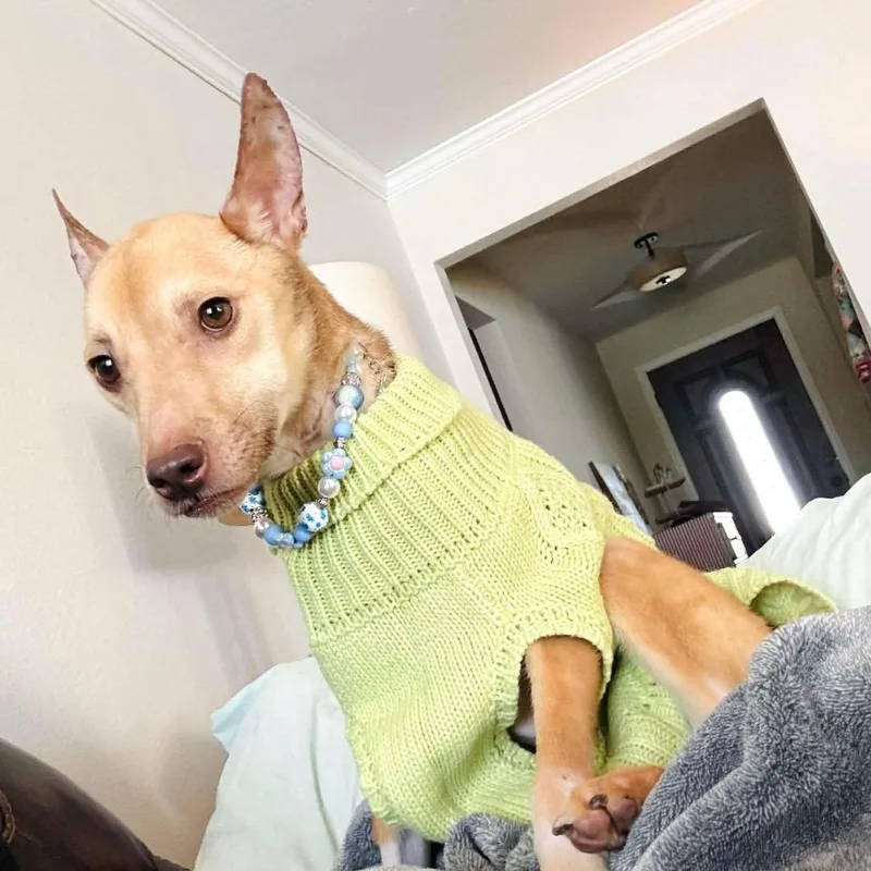 Penelope thumbnail 5