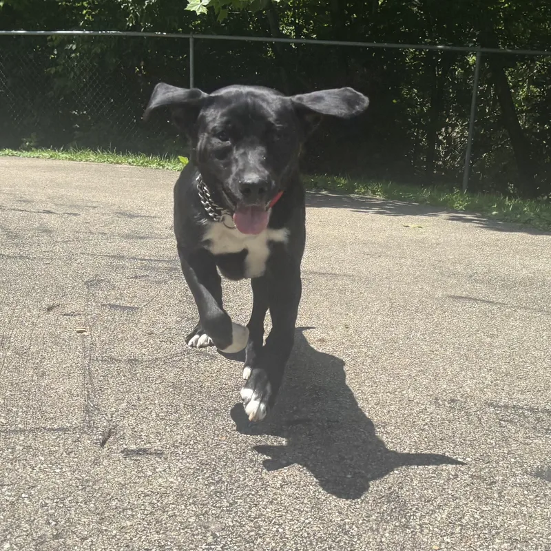Remington thumbnail 2