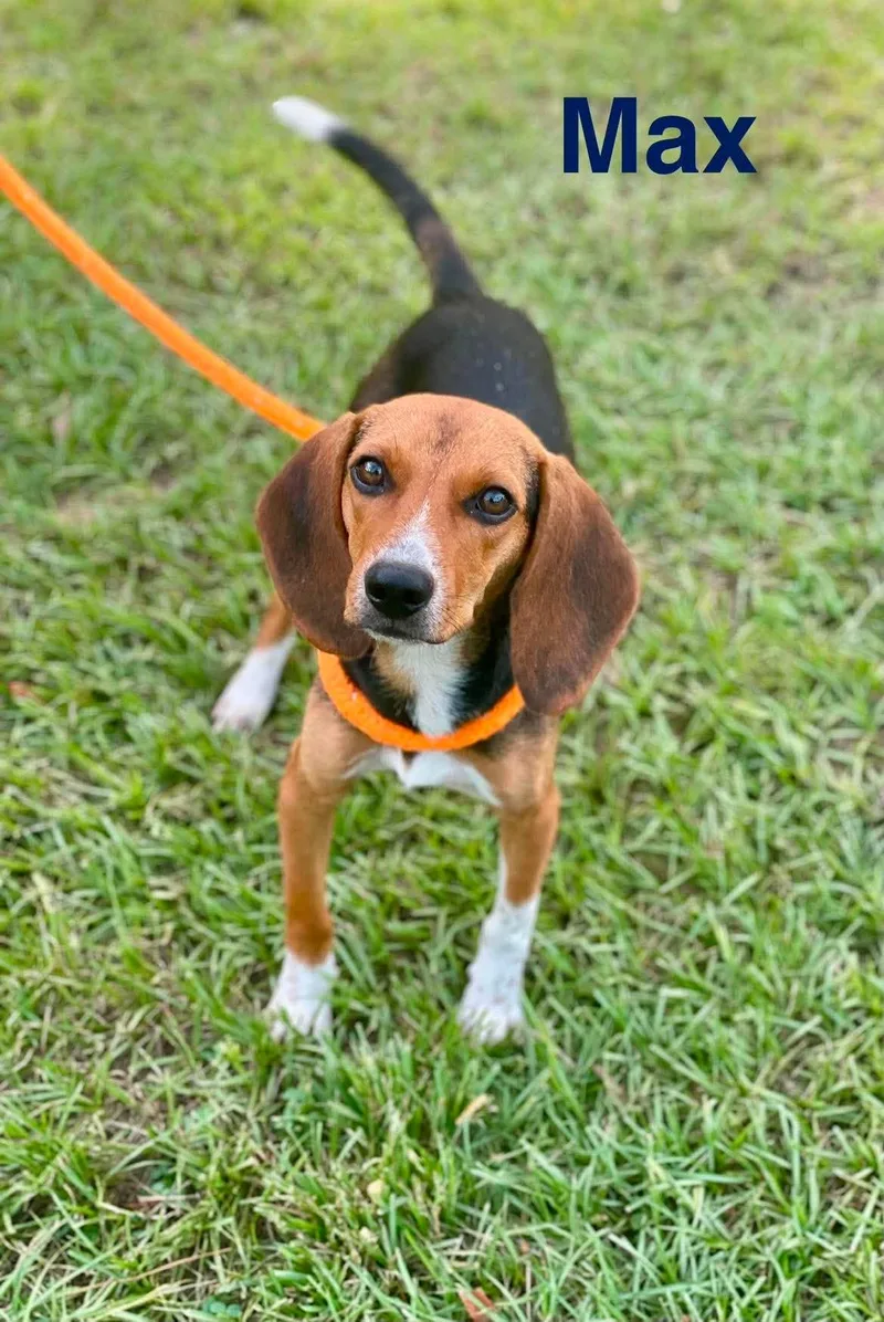 Max