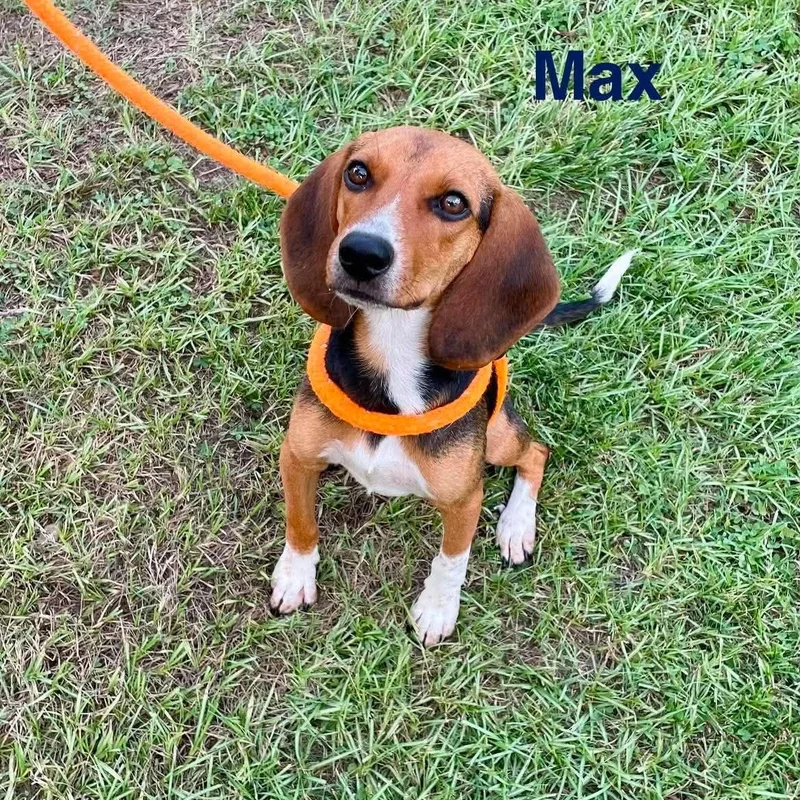 Max thumbnail 3