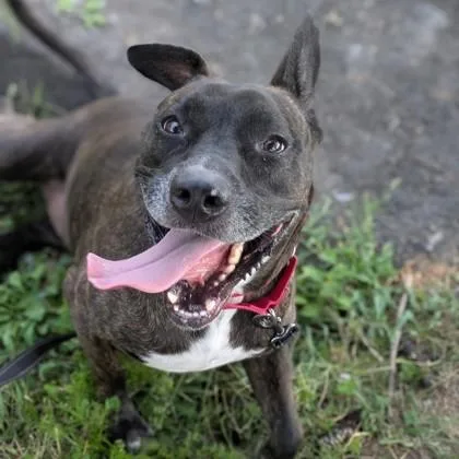 Princess thumbnail 2