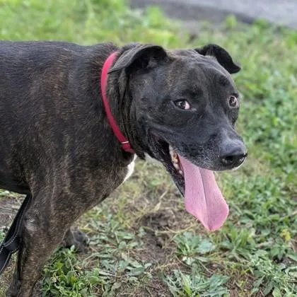 Princess thumbnail 3