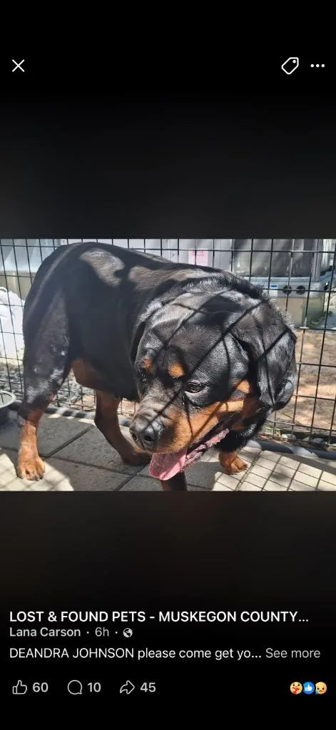 Hemi