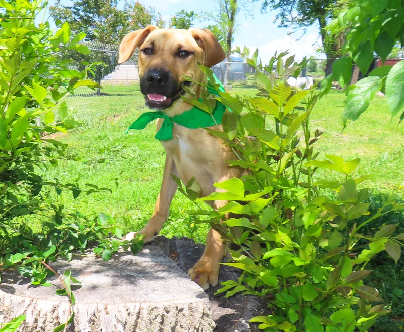 Abner  Ca thumbnail 2