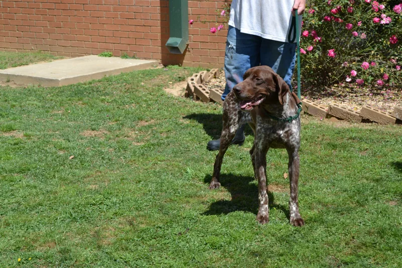 Charlie Brown thumbnail 4