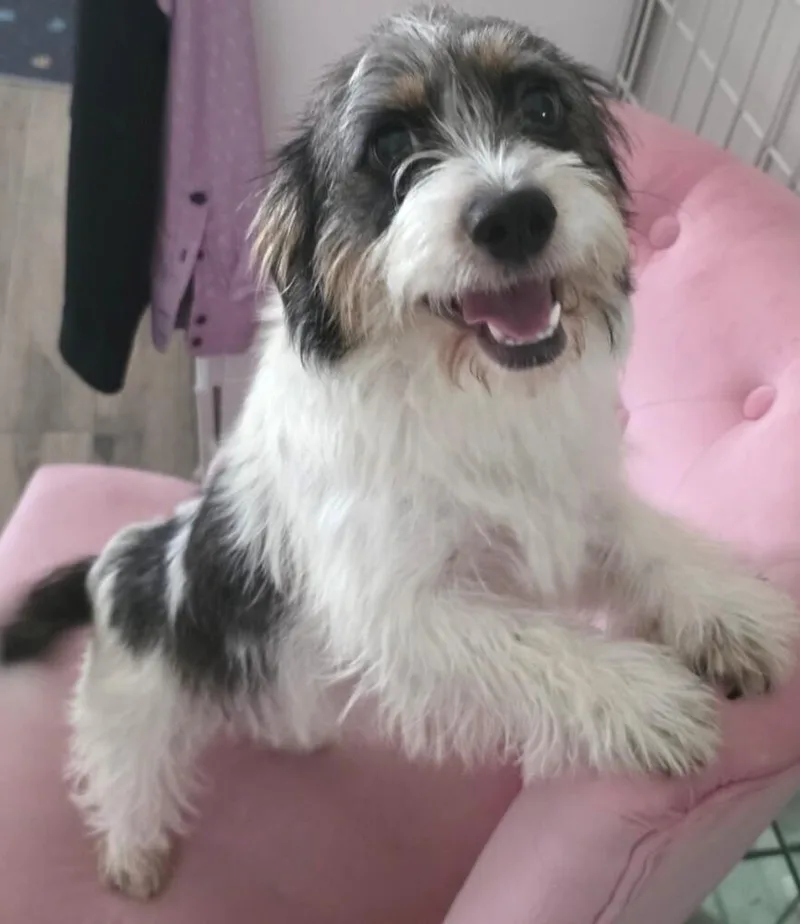 Bella