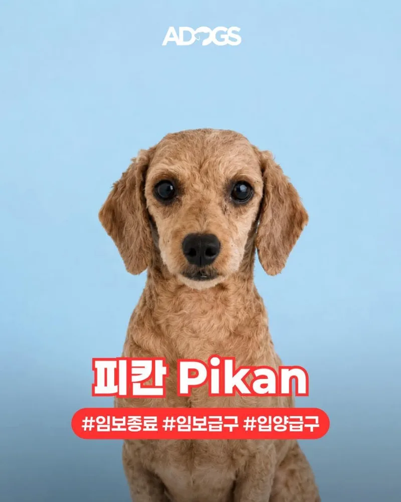 Pikan thumbnail 2