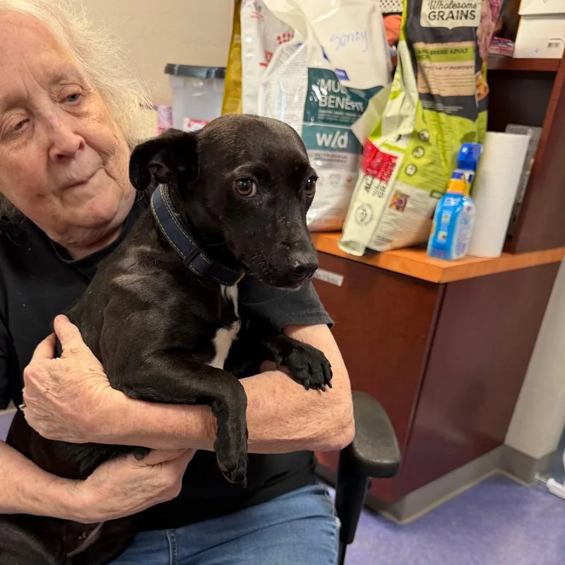 Big Mama thumbnail 2